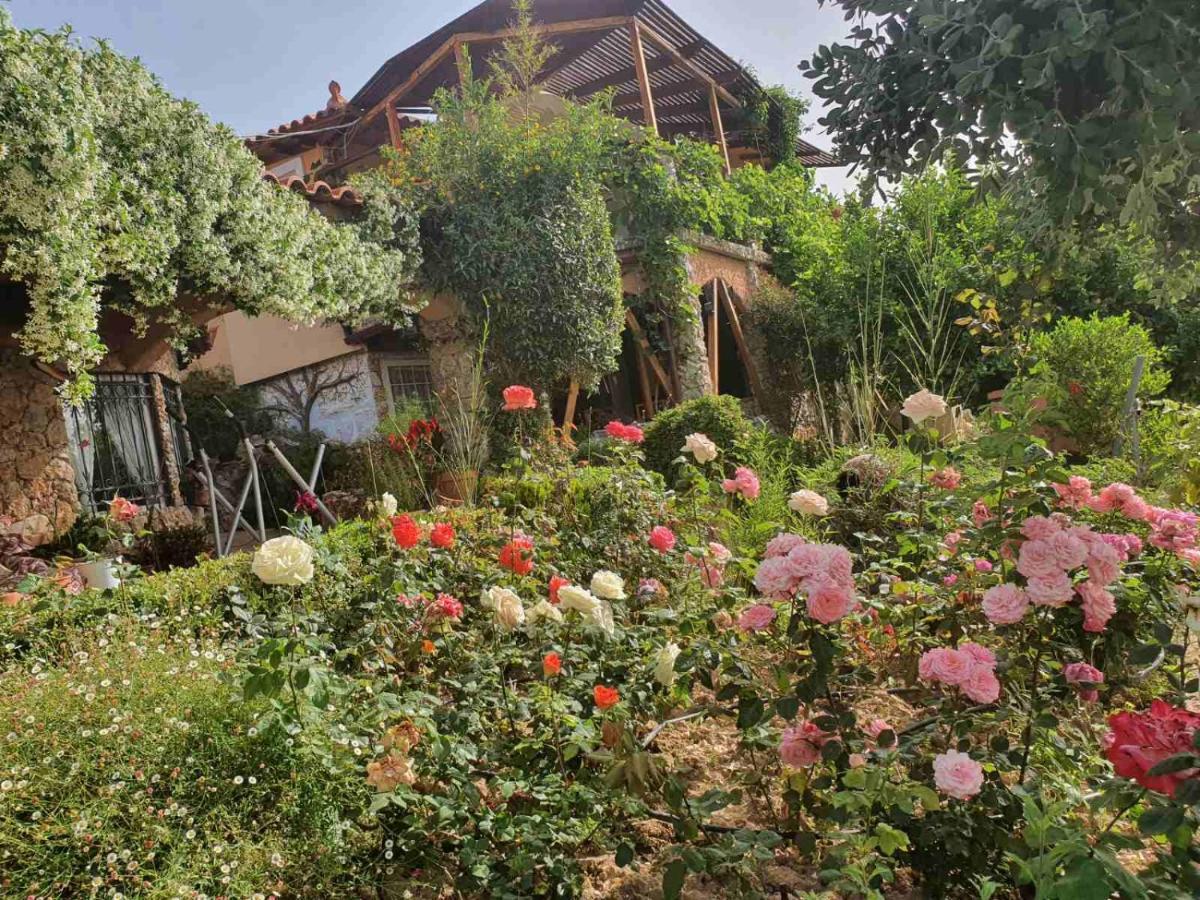 Nadia'S Traditional Greek House アナヴィソス エクステリア 写真
