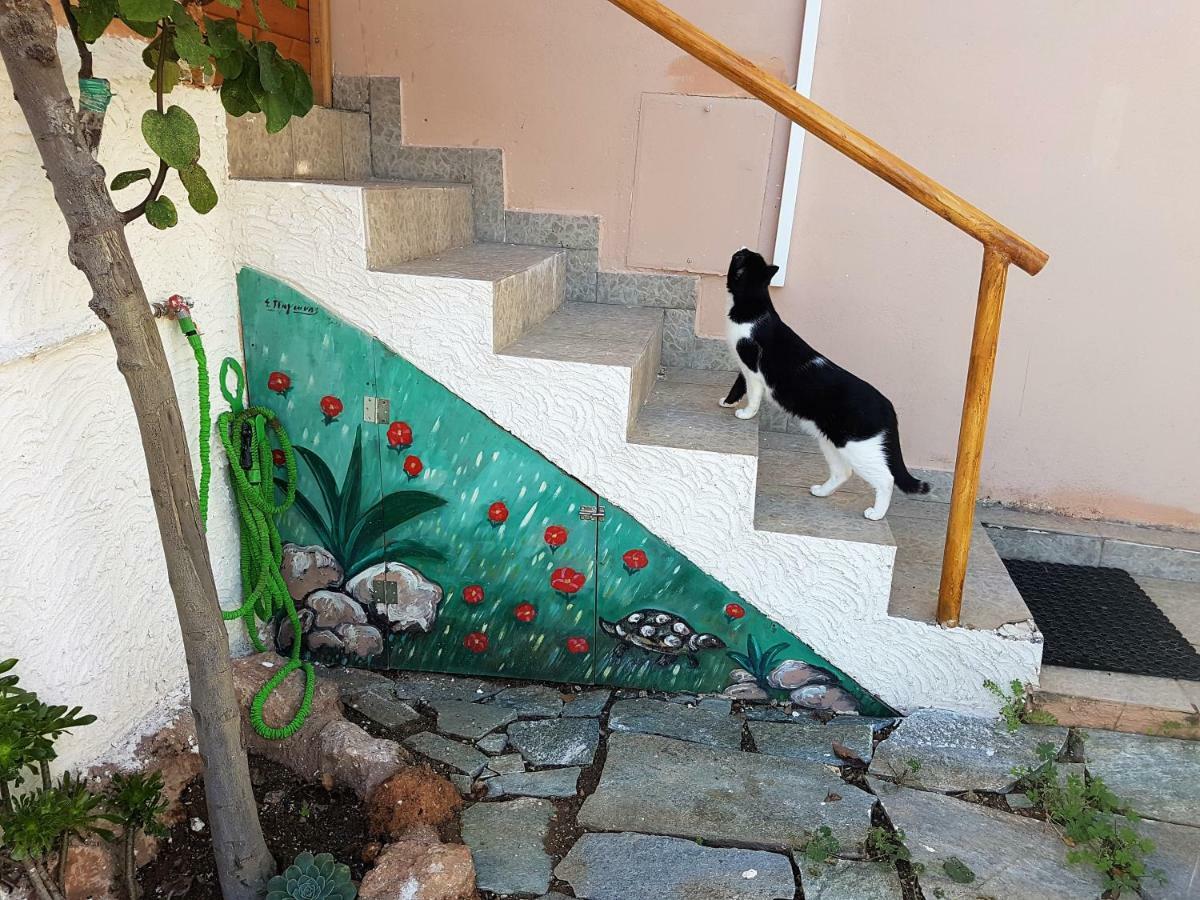Nadia'S Traditional Greek House アナヴィソス エクステリア 写真